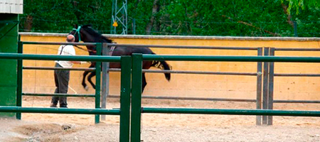 En Cuencaventura disponemos de Pista de doma